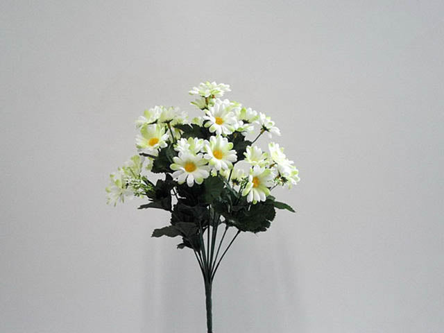 Mazzo margherite crema 0360