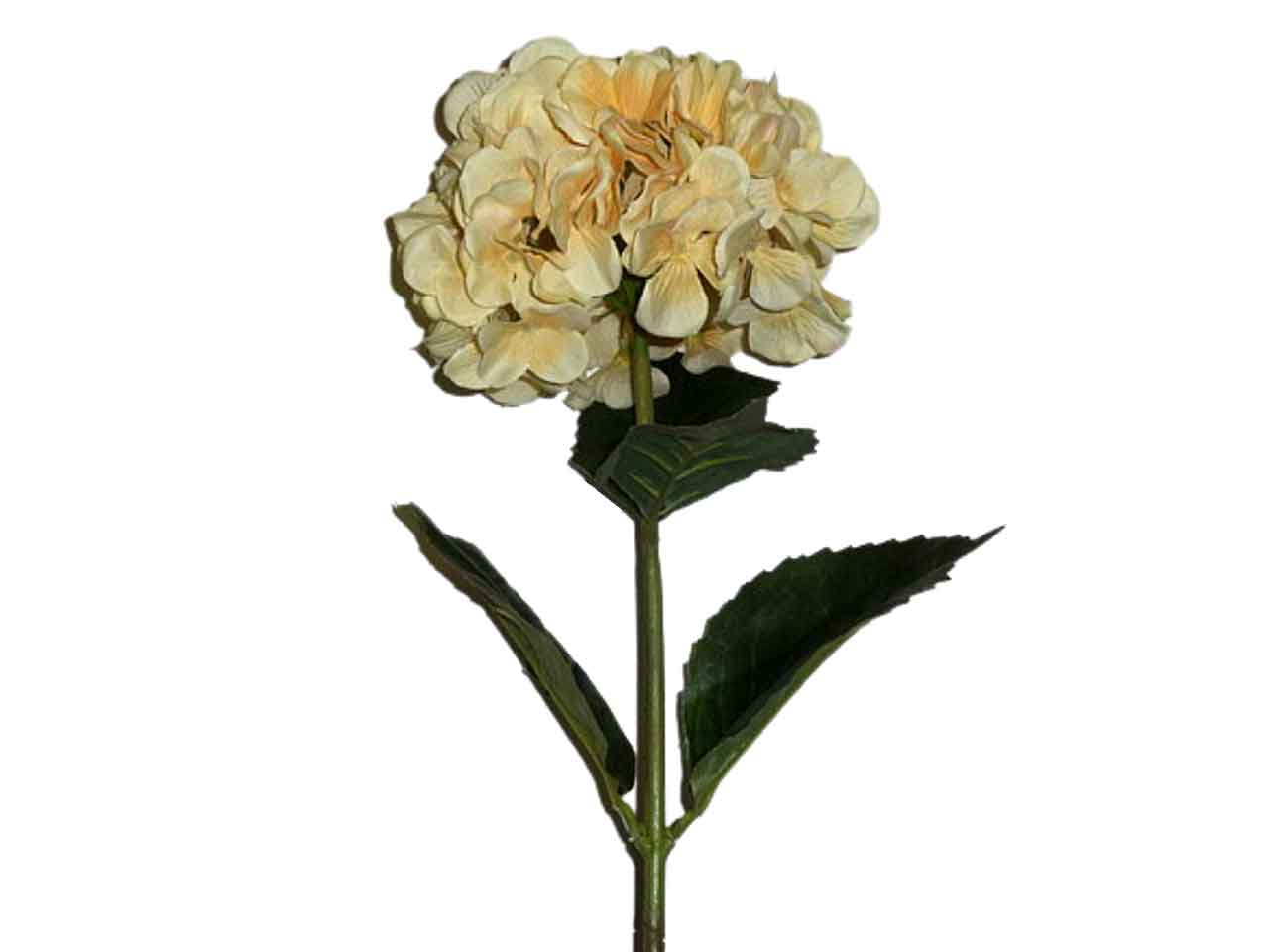 Ortensia beige 4940
