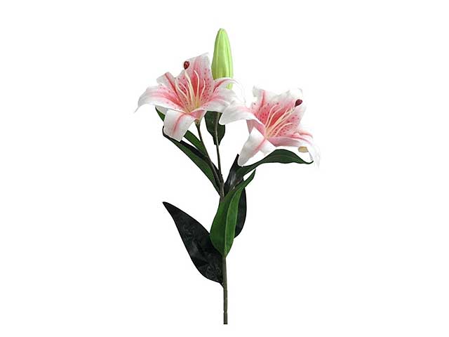 lilium spray 3 biccioli rosa 6014