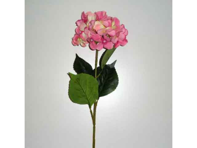 Ortensia rosa 7052