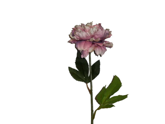 peonia lavanda 70cm 4926