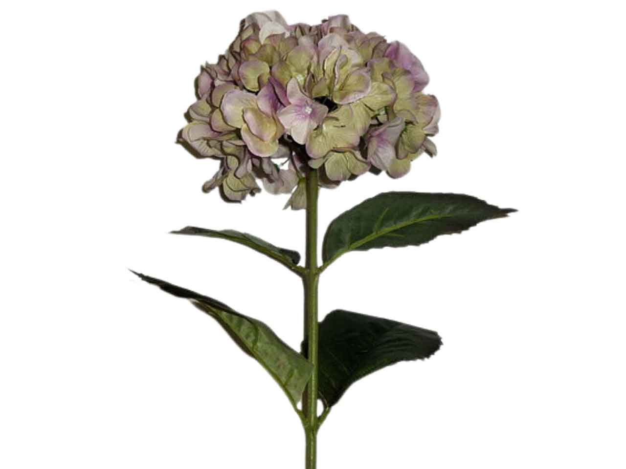 Ortensia lavanda 4940