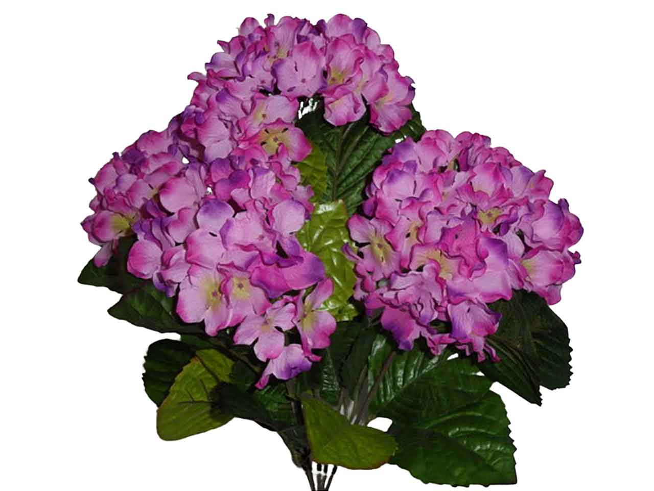 Ortensia mazzo 5pz lavanda 5130