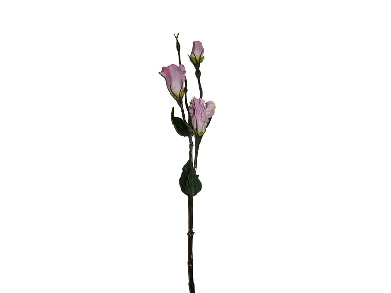 Lisianthus lavanda 5899