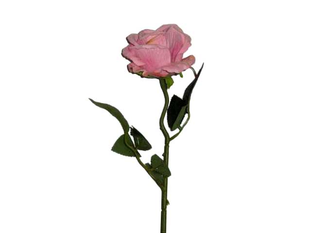 Rosa velvet lilla 6010