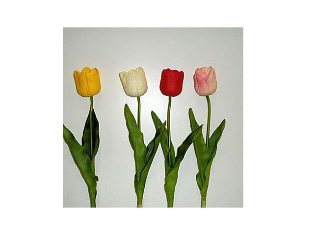 Tulipano 9047