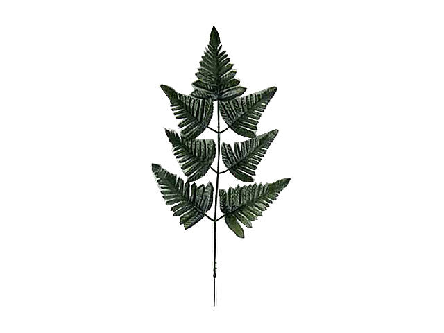 Felce verde 1059