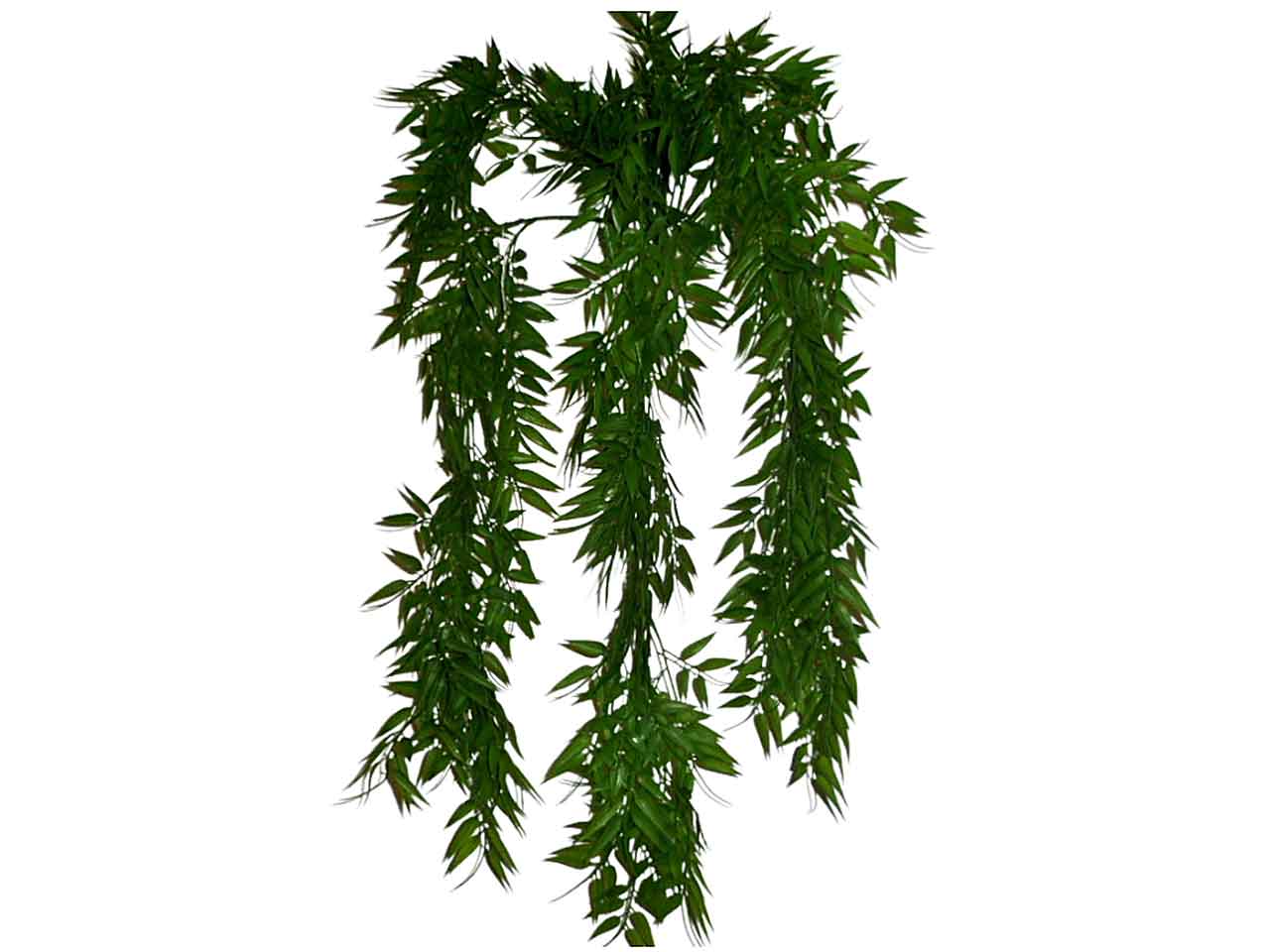 Bamboo 6130