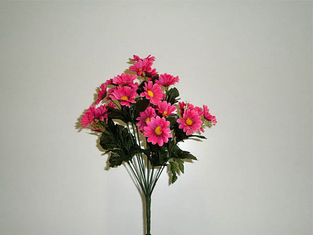 Mazzo margherite fucsia 0360