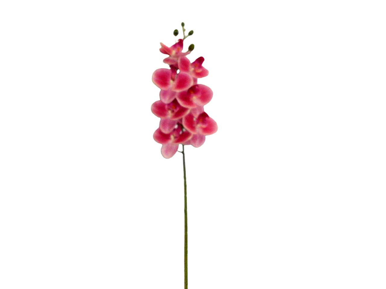 Orchidea rosa 6015