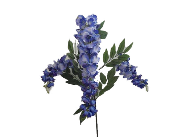 Glicine blu 1235