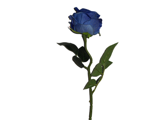 Rosa velvet blu 6010
