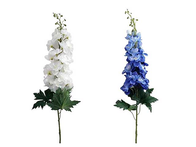 Delphinium blu 8032