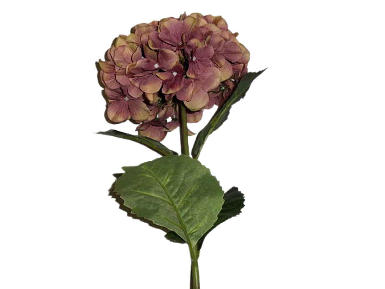 Ortensia mauve 4940