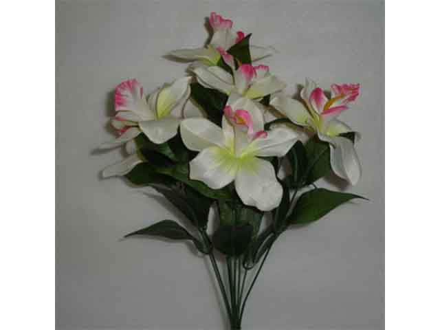 mazzo orchidee crema/rosa 8018