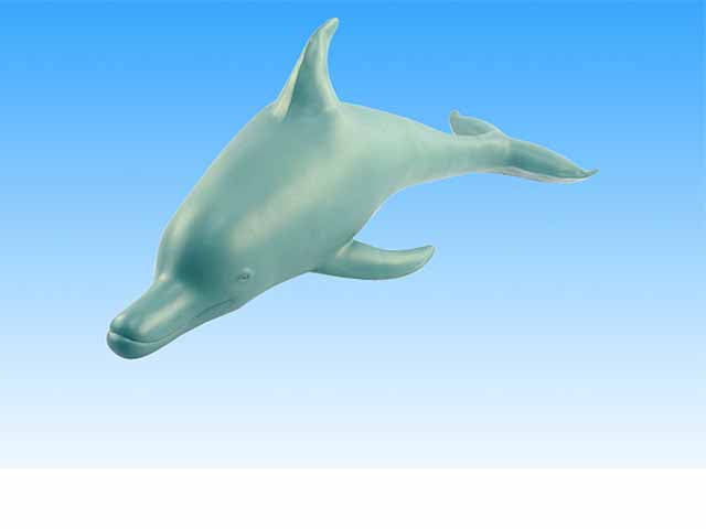 delfino 37346