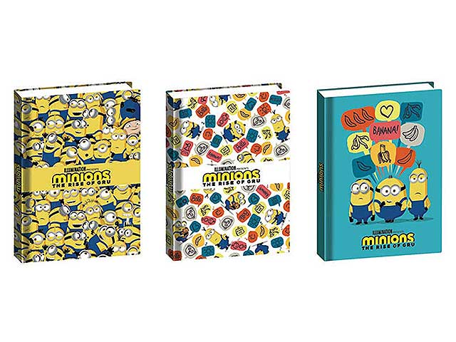 Despicable me diario 12 mesi 5e6002001