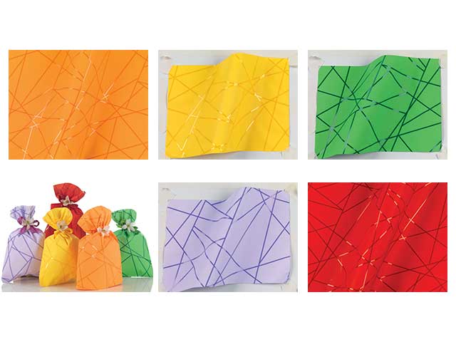 L.segments busta fp 35x50 50pzudh69pcck8n00