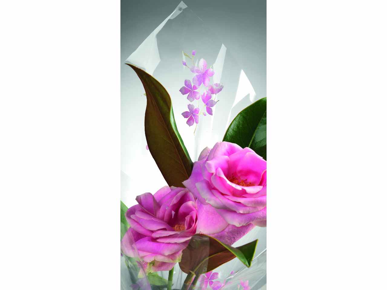 L.peach flower fogli 50 pezzi 100x130 f-a18tj-xf1xx