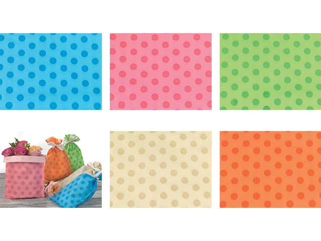 L.pois busta carta 25x40 50pzudi27gcc14n00