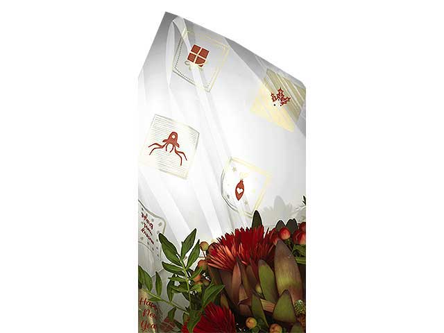 fogli trasparente 100x130 50pzrosso f-m10tj-xf1