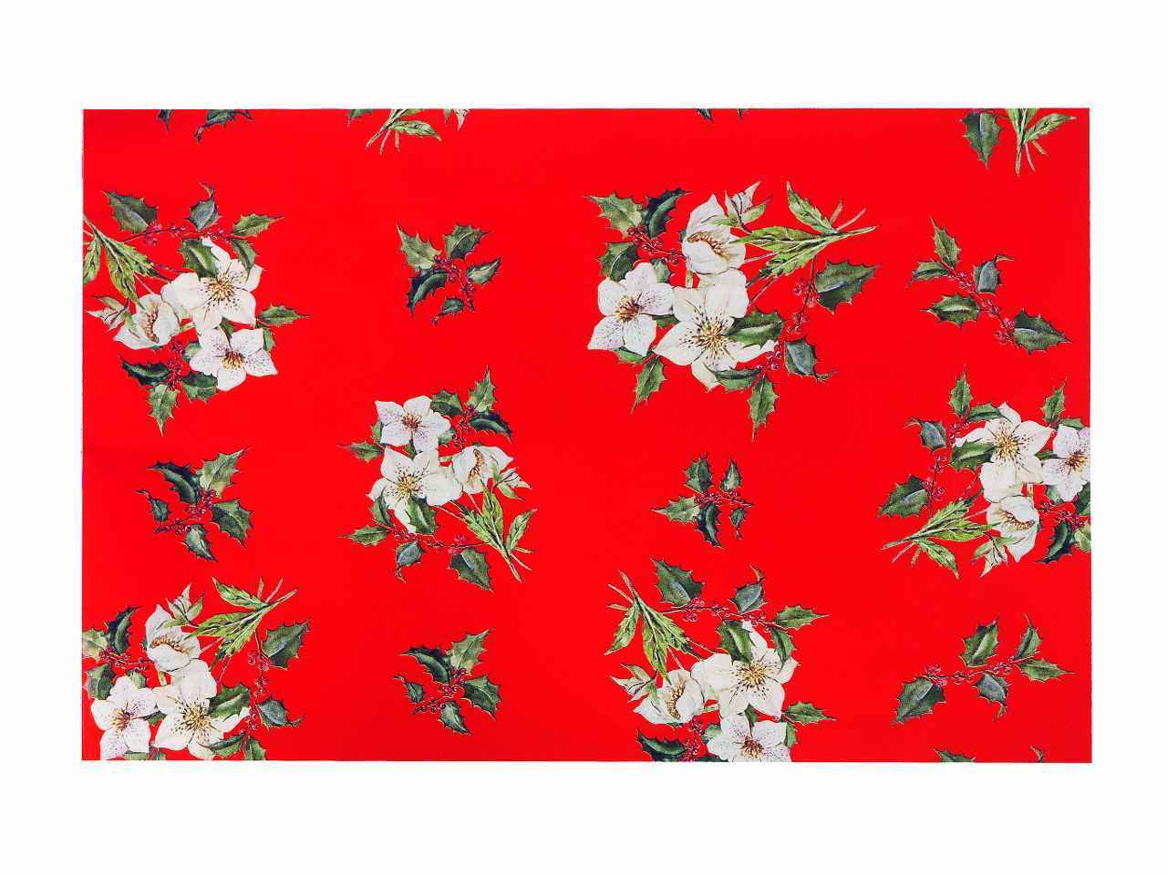 Busta stella alpina perlata 40my 40x65 50 pezzi