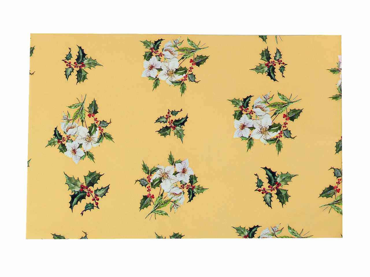Busta stella alpina perlata 40my 40x65 50 pezzi