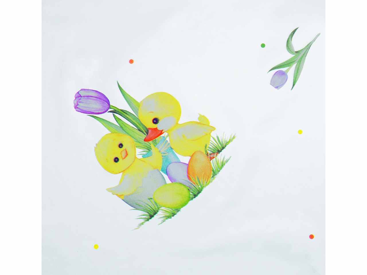 Fogli stampa decoro junior 30my 100x130cm