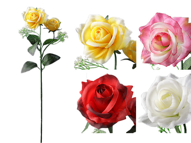 rosa inglese con nebbiolina 8337x