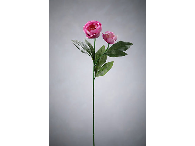 peonia 8505x