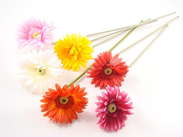 Gerbera 8630x