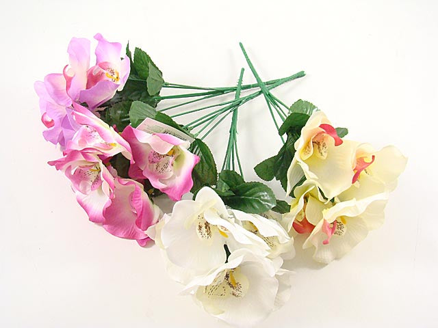 Mazzo orchidee 8743x