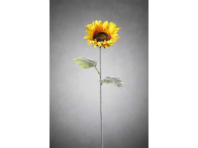 Girasole 8795