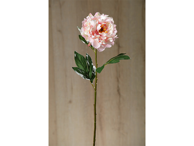 Stelo peonia 8796x