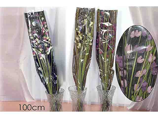 Mazzo con fiori secchi 1mt 564715
