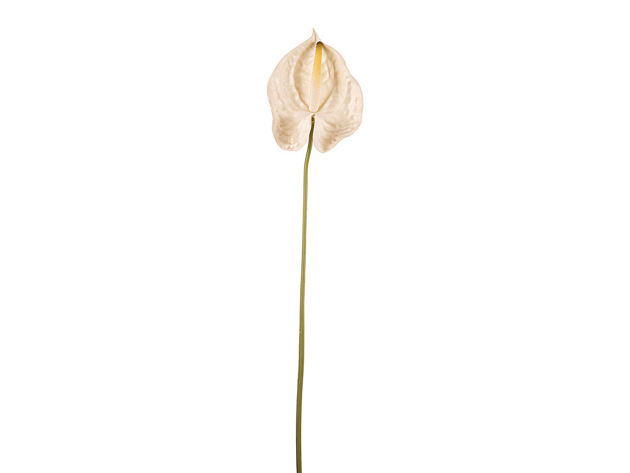 Fiore di anthurium colore bianco h.70cm