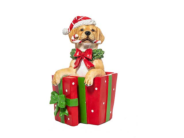 Cagnolino in scatola regalo n23442