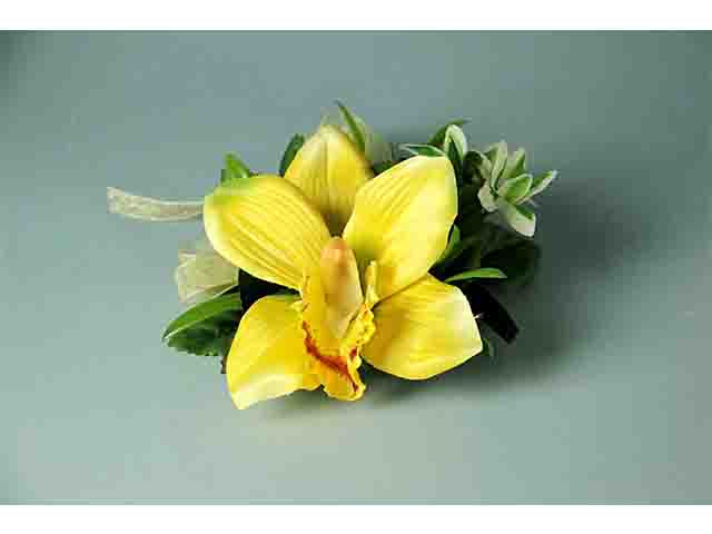 orchidea gialla a11157