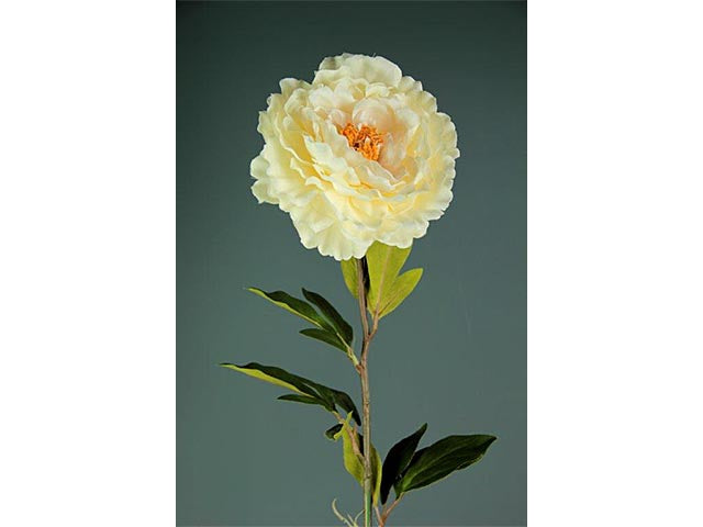 Peonia 82cm beige a13722