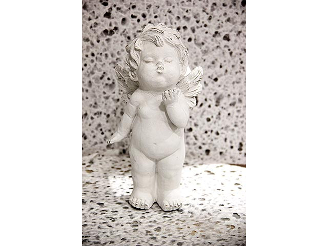 angelo 24cm n14502