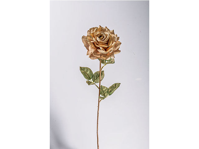 rosa singola noisette  n15568