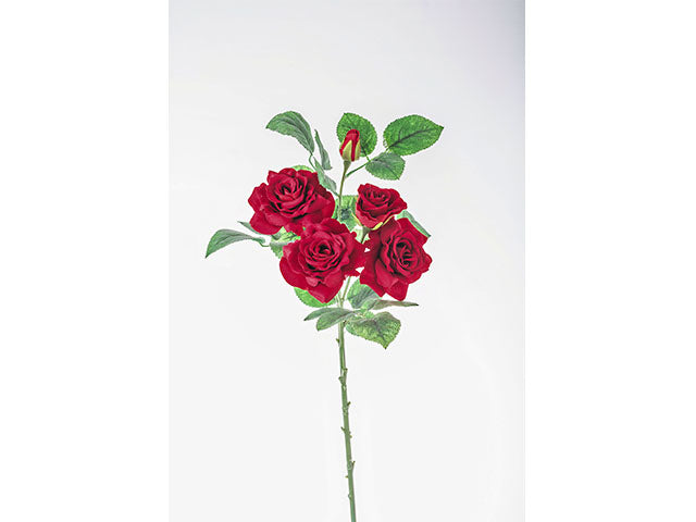 tralcio rose rossa n17125
