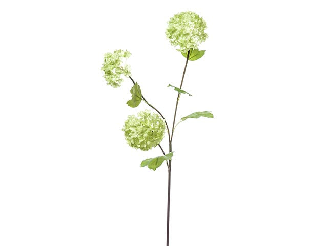 viburno verde 70cm a15701