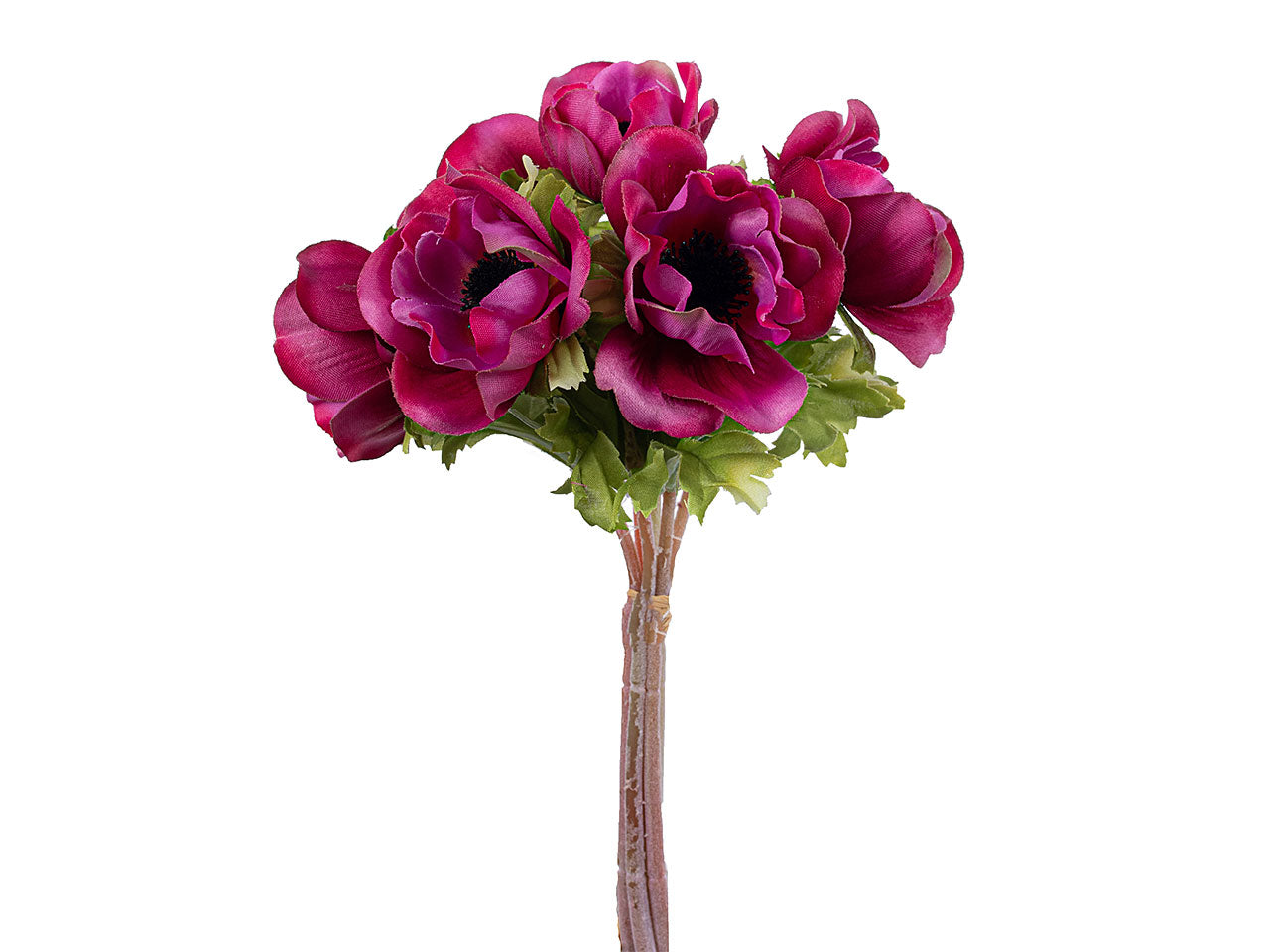 Mazzetto di anemone x 6 colore beauty h.27cm