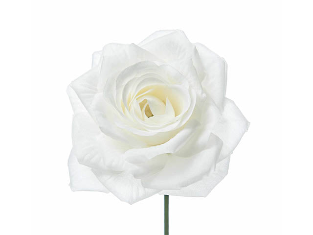mazzo rose bianche 12 pezzi a15637