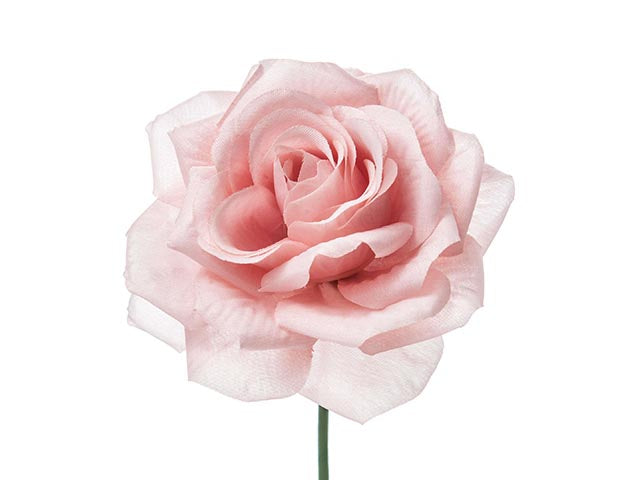 mazzo rose cipria 12pz a15637