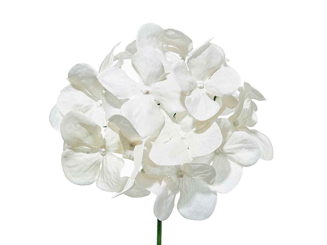 Pick ortensia 12 pezzi h.19xd.12cm ivory a15640
