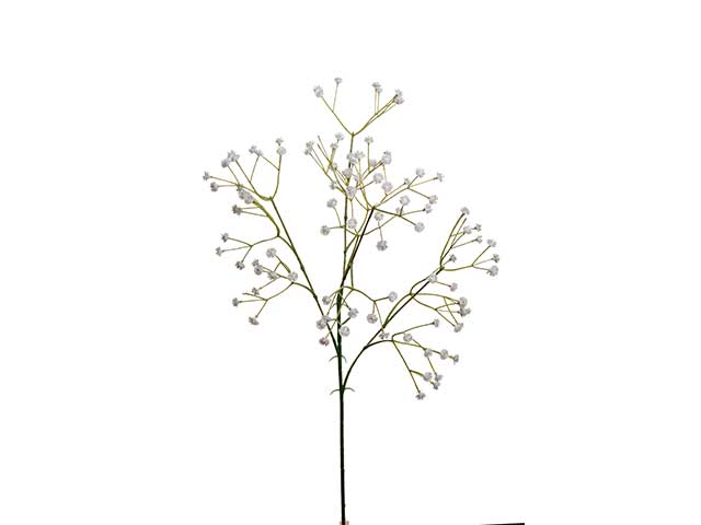 Gipsofila 60cm a20320