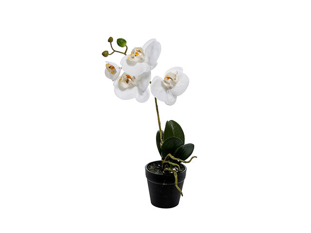 pianta orchidea 38cm a20681