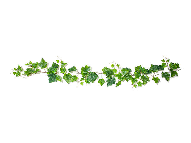 festone vite 150cm a20377
